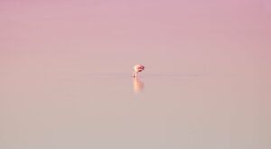 How to create a successful digital marketing campaign